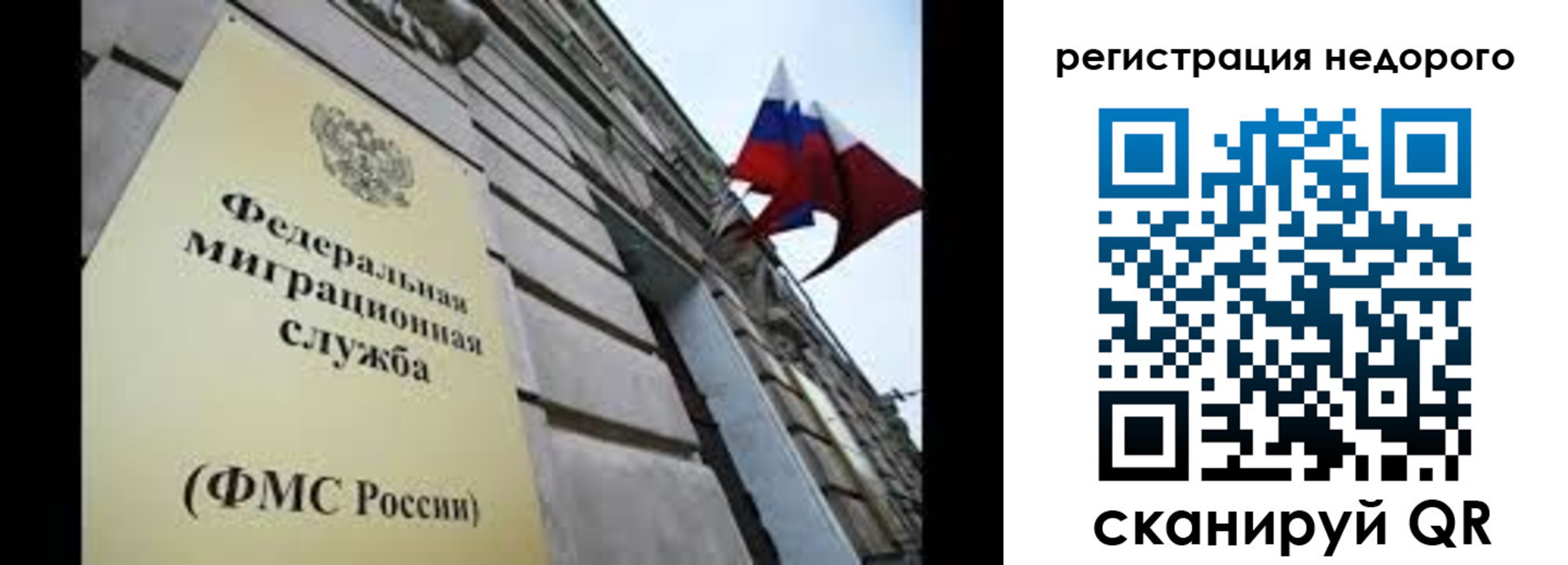 прописка поиск в Бабаево
